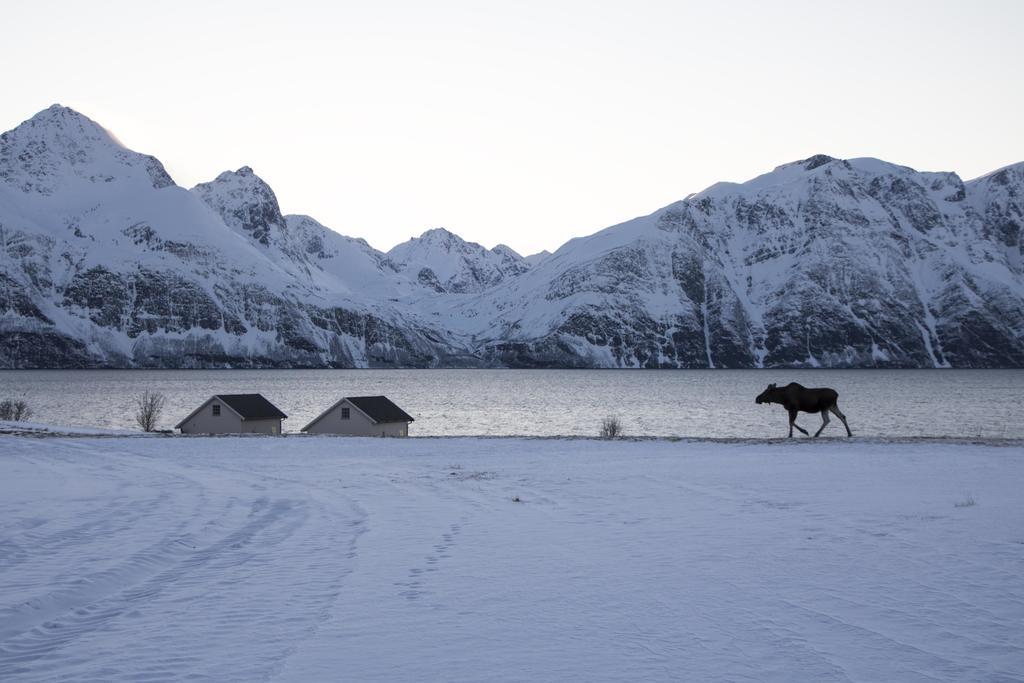 Hotel Lyngen North Rotsund Exterior foto